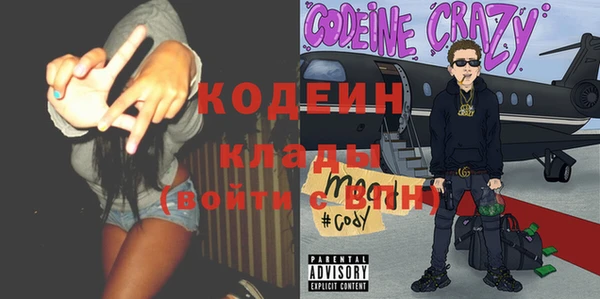 шишки Осташков
