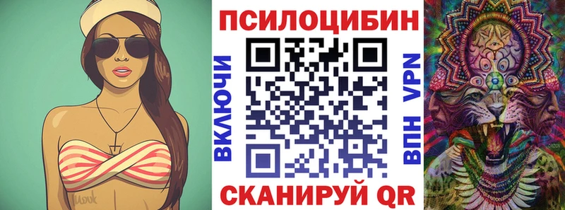 kraken маркетплейс  Щучье  Псилоцибиновые грибы MAGIC MUSHROOMS 